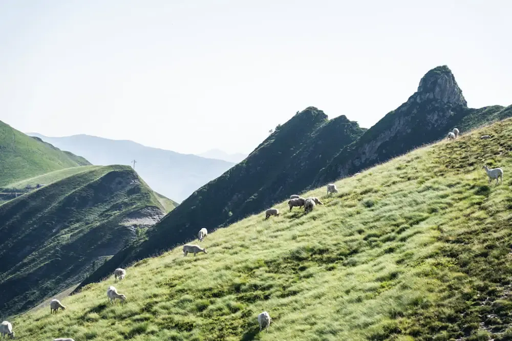 paysage nature